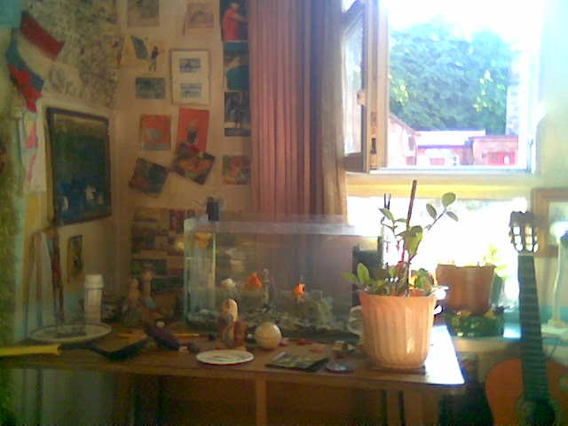 aquariumday.jpg